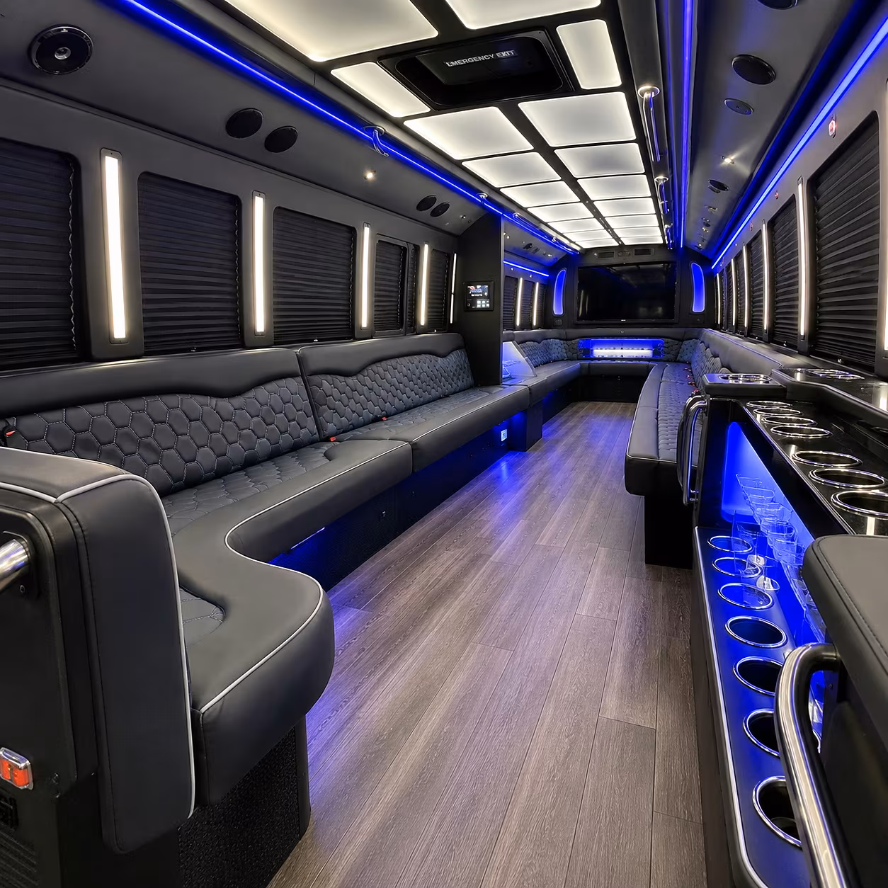 castle rock party bus rentals inside